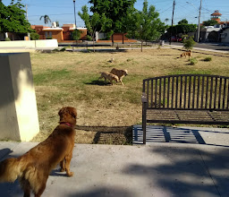 Parque Villa Sol photo