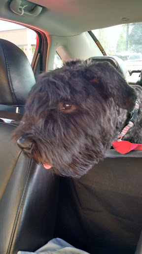 Pet Supply Store «PetSmart», reviews and photos, 316 NE 78th St, Vancouver, WA 98665, USA