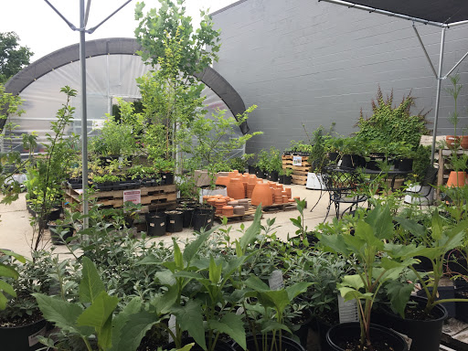 Pet Supply Store «Northside Grange», reviews and photos, 4116 Hamilton Ave, Cincinnati, OH 45223, USA