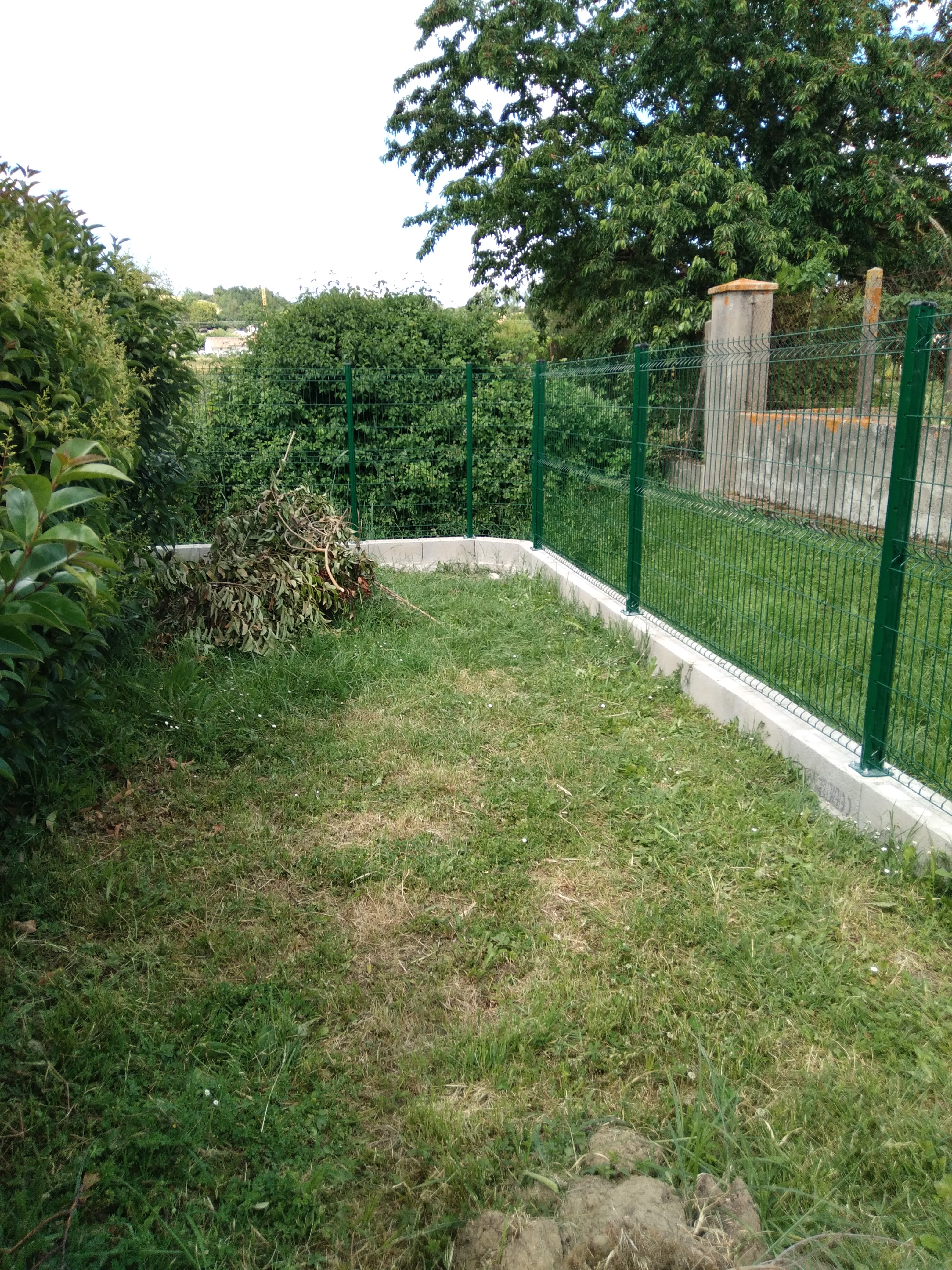 Photo n° 1 de l'avis de Jean-Pierre.I fait le 26/04/2023 à 14:28