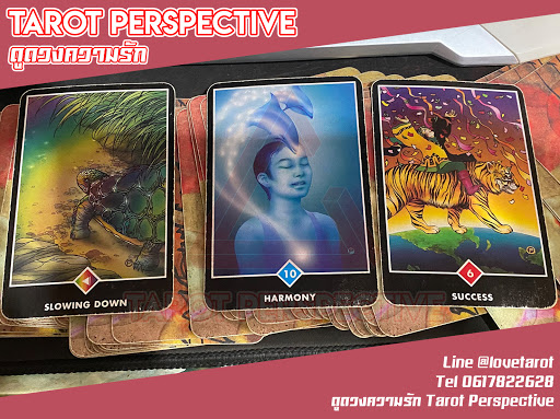 ดูดวงความรัก Tarot Perspective