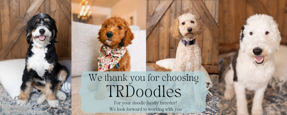 TRDoodles CO