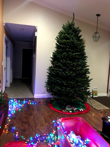 Warehouse store «Costco Wholesale», reviews and photos, 2400 Monument Blvd, Concord, CA 94520, USA