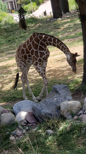 Zoo «Alaskan Adventure Henry Doorly Zoo», reviews and photos, 3701 S 10th St, Omaha, NE 68107, USA