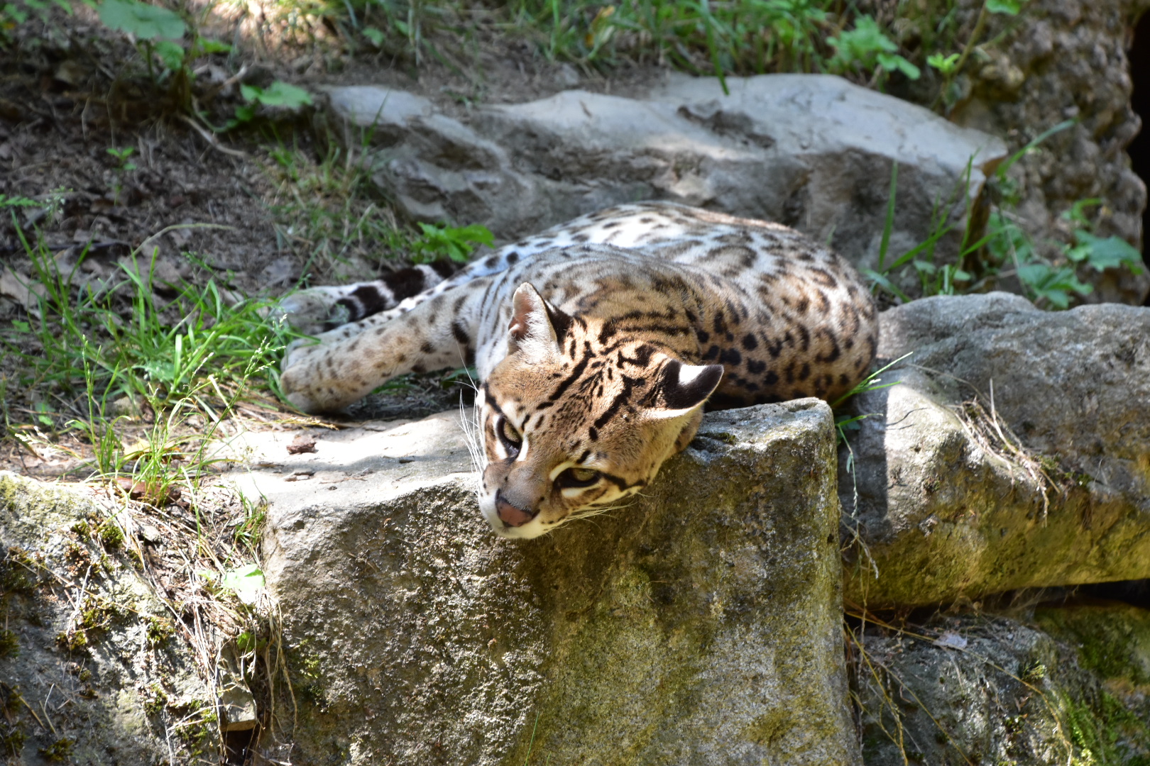 Photo n° 2 de l'avis de Marine.r fait le 05/07/2021 à 20:49