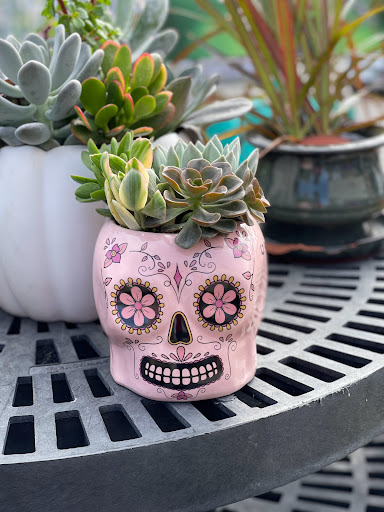 Hardware Store «Laurel Ace Hardware», reviews and photos, 4024 MacArthur Blvd, Oakland, CA 94619, USA