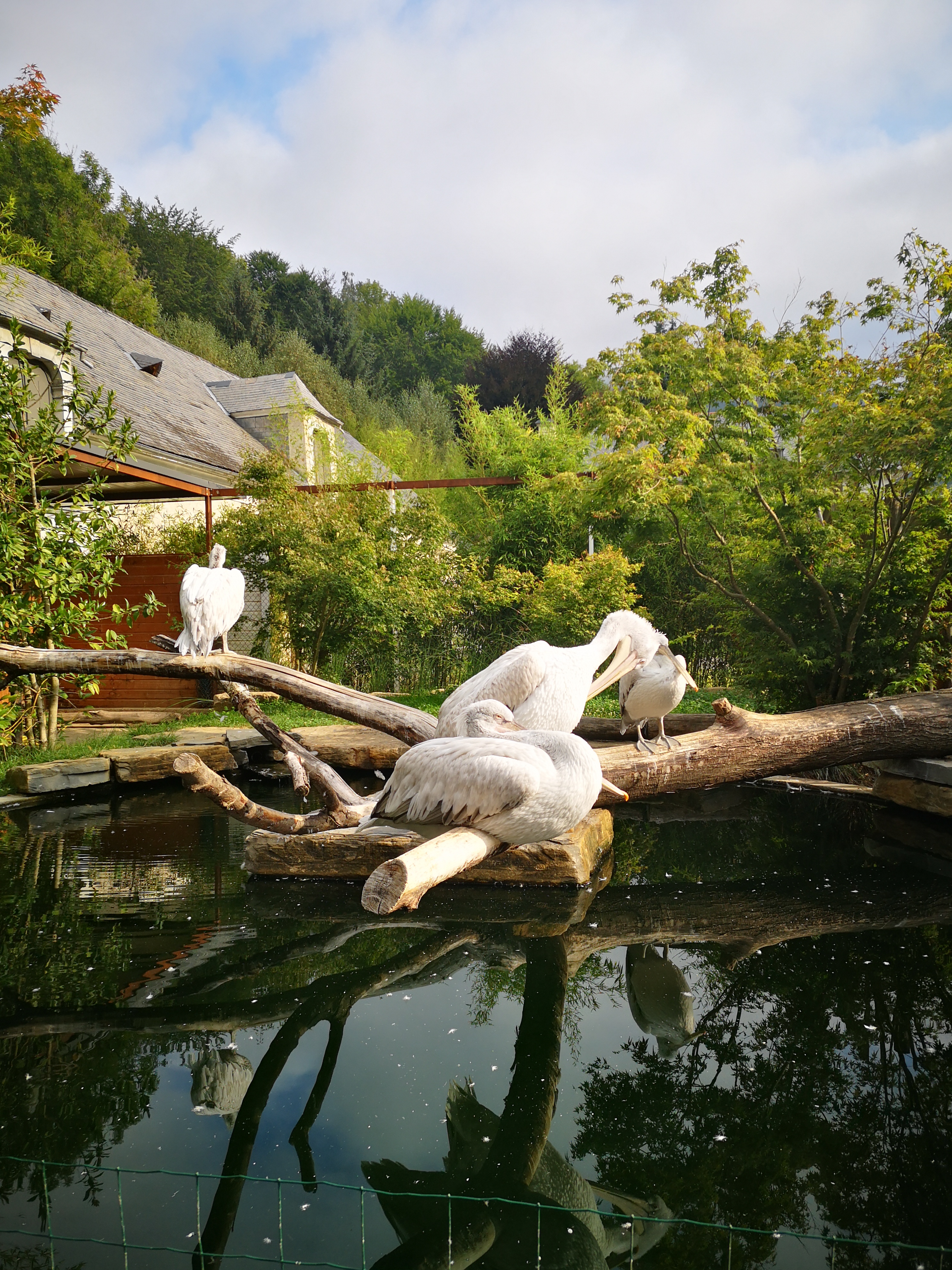 Photo n° 40 de l'avis de Xxx.x fait le 14/08/2020 à 21:01