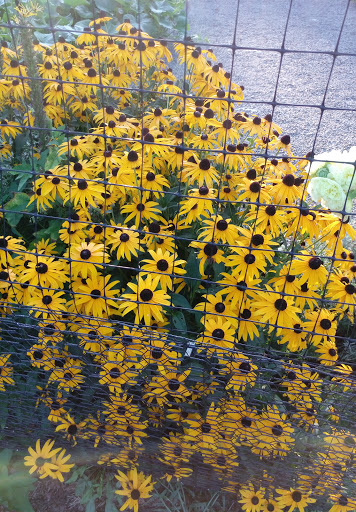  «Mt Hope Farm», reviews and photos, 250 Metacom Ave, Bristol, RI 02809, USA