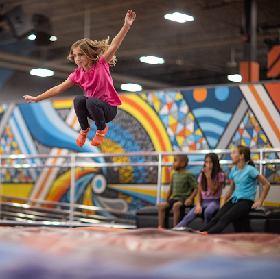 Sky Zone Trampoline Parkl