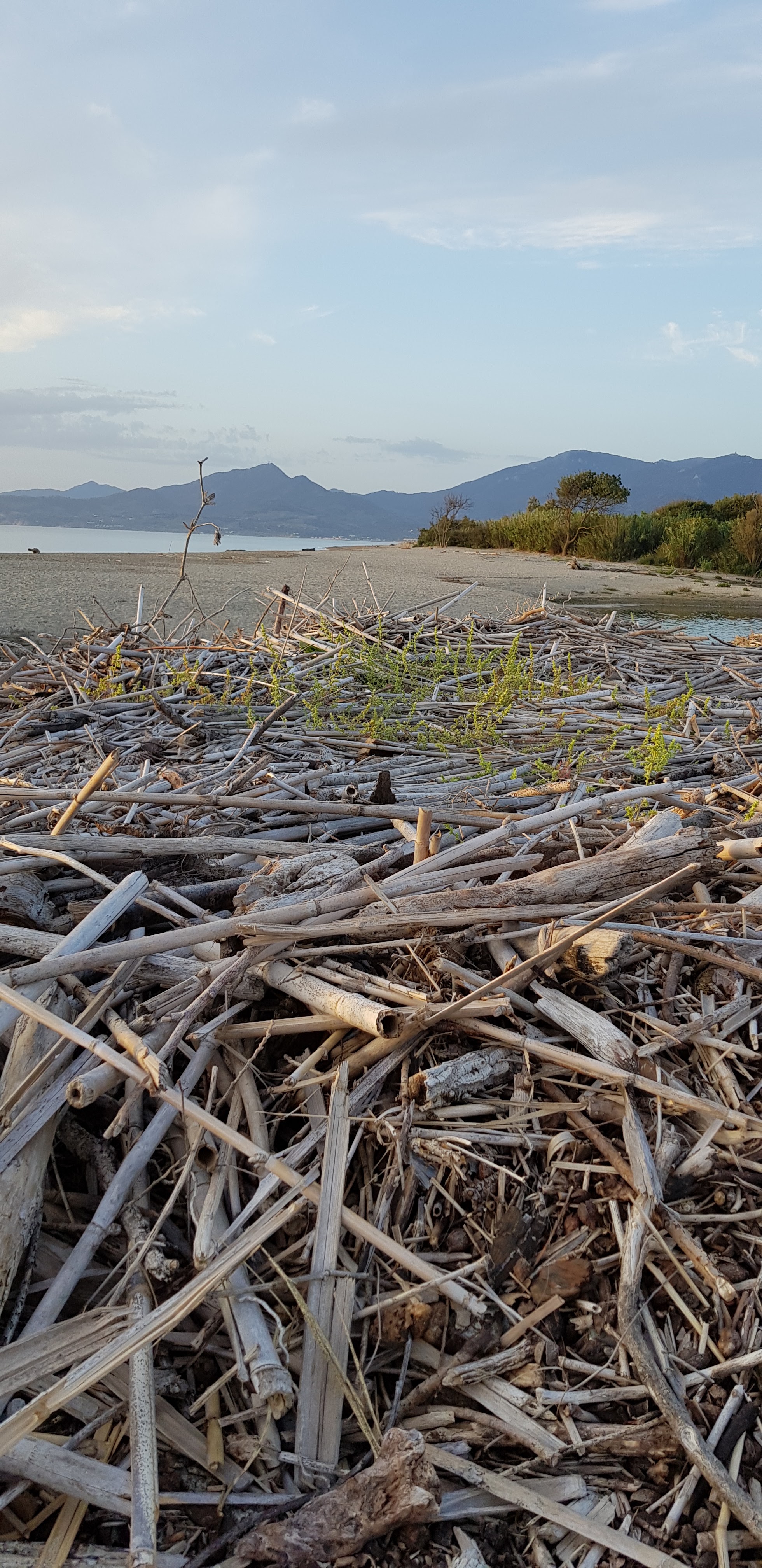 Photo n° 17 de l'avis de Jean-Luc.o fait le 24/09/2019 à 10:09