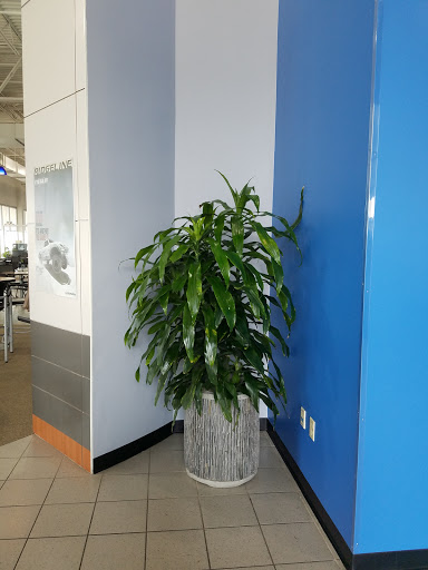 Honda Dealer «AutoNation Honda South Corpus Christi», reviews and photos, 6702 S Padre Island Dr, Corpus Christi, TX 78412, USA