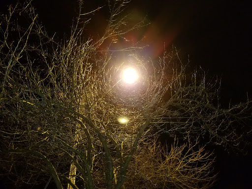 Park «Beekman Recreation Park», reviews and photos, 29 Recreation Center Rd, Hopewell Junction, NY 12533, USA