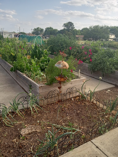 Community garden Fort Worth