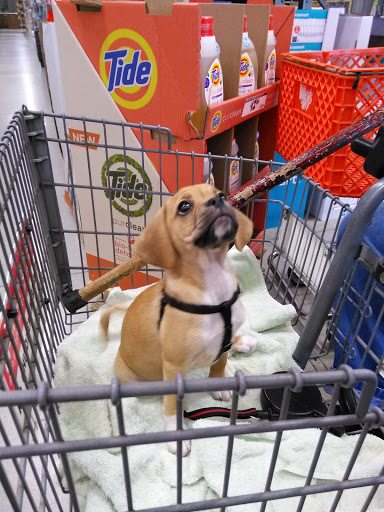 Home Improvement Store «The Home Depot», reviews and photos, 311 Sagamore Pkwy N, Lafayette, IN 47904, USA