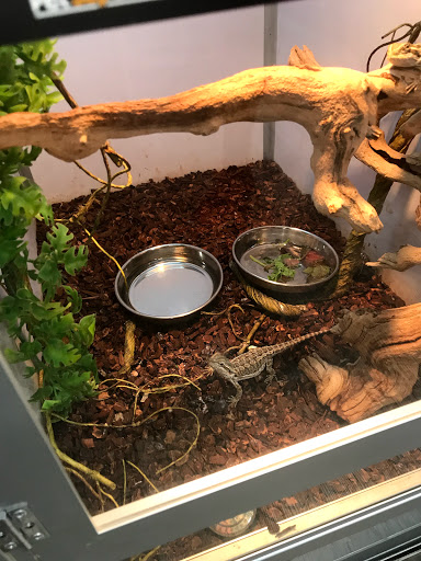 Pet Supply Store «Pet Supermarket, Inc.», reviews and photos, 1052 Peachtree Industrial Blvd, Suwanee, GA 30024, USA