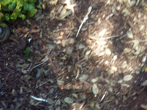 Golf Club «Lantana Golf Club», reviews and photos, 800 Golf Club Dr, Argyle, TX 76226, USA