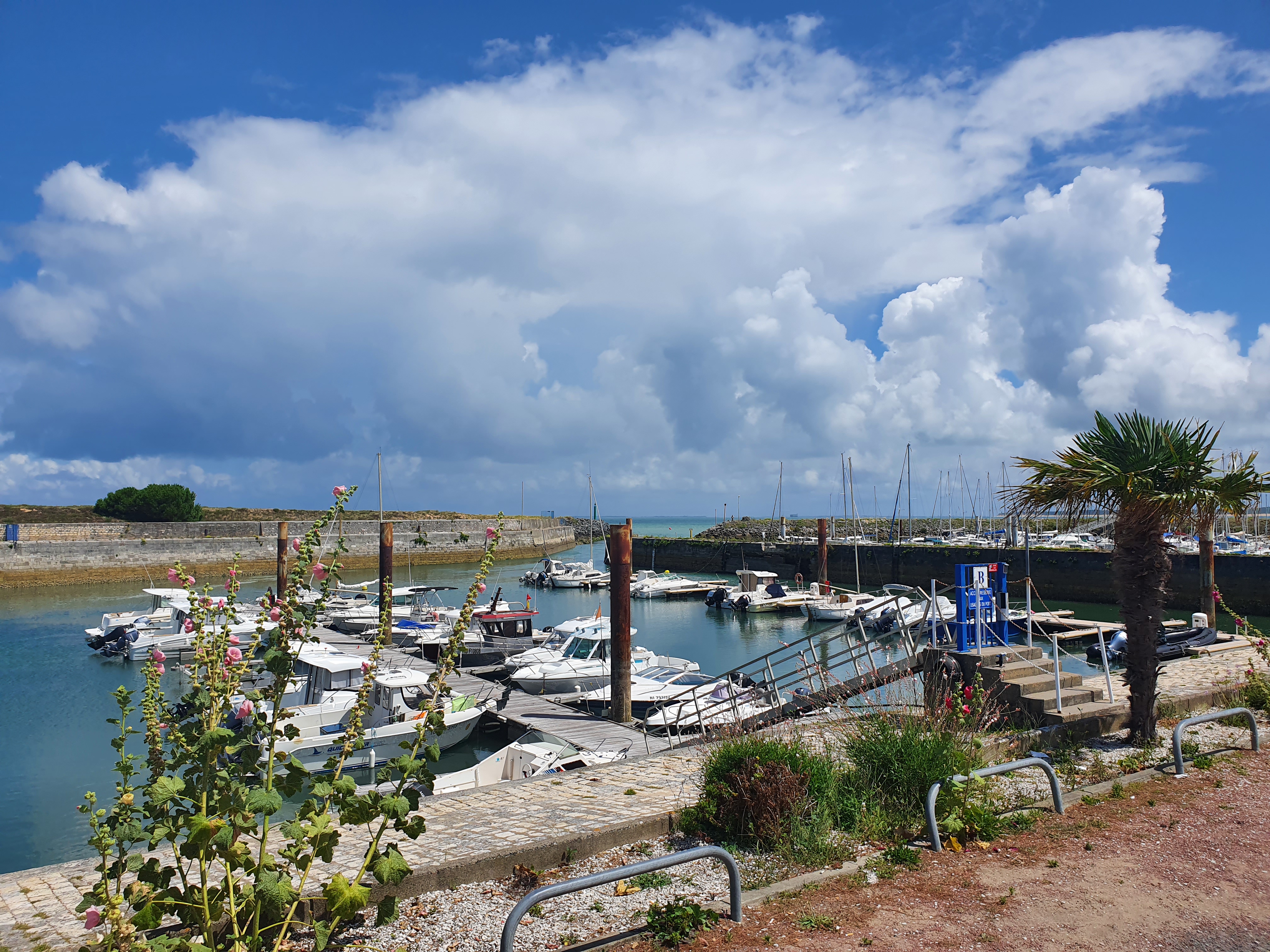 Photo n° 8 de l'avis de Rob.e fait le 24/07/2021 à 16:02