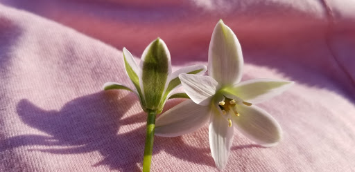 Community Center «NienhuisPark Community Center», reviews and photos, 3201 N 9th St, Broken Arrow, OK 74012, USA