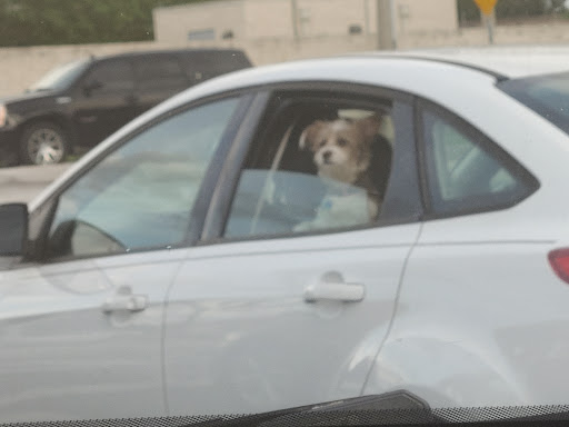 Phone Repair Service «Phone Repair Orlando - MetroPCS Repairs», reviews and photos, 2751 S Chickasaw Trail, Orlando, FL 32829, USA