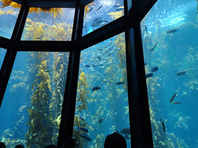 Monterey Bay Aquarium: Seafood Watch Program