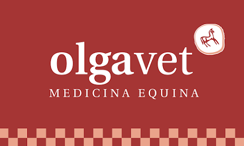 OLGAVET Medicina Equina Veterinaria 