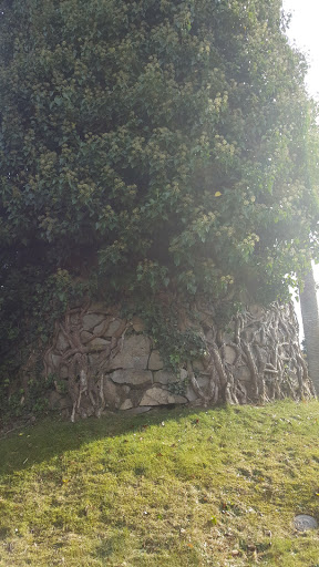 Memorial Park «Cypress Lawn Funeral Home & Memorial Park», reviews and photos, 1370 El Camino Real, Colma, CA 94014, USA