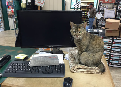 Building Materials Store «Shur-way Building Center», reviews and photos