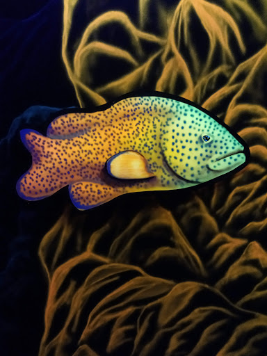 Amusement Center «Omni Fun Center», reviews and photos, 3729 Sycamore Dairy Rd, Fayetteville, NC 28303, USA