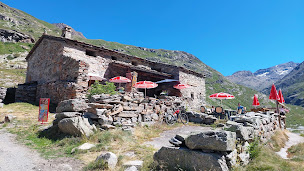 Photo n°13 de La pierre à cupules à Bonneval-sur-Arc ()