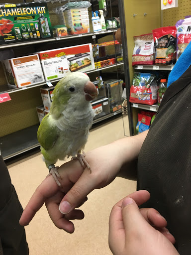 Pet Supply Store «Petco Animal Supplies», reviews and photos, 3591 Washington Blvd, Halethorpe, MD 21227, USA