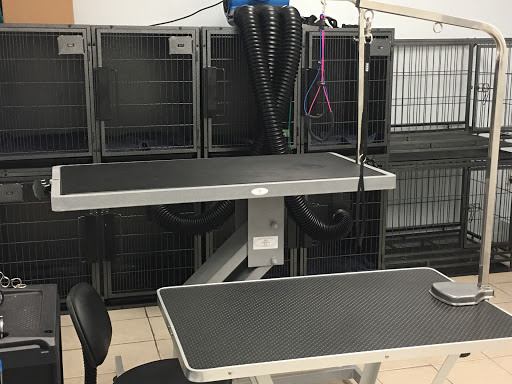 Pet Supply Store «Bully Zone Pet Supplies & Pet Grooming», reviews and photos, 1409 McCarter Hwy, Newark, NJ 07104, USA