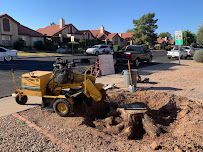 Serene Home Services - Photo 3 - Car repair in Chandler, AZ, Chandler