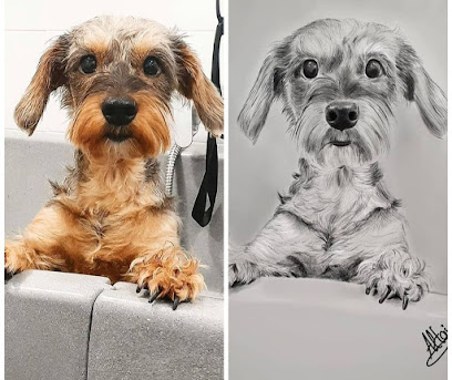 PET&amp;Me Peluqueria canina - Servicios para mascota en Madrid