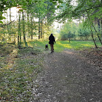 Photo n°2 de l'avis de C-P. fait le 13/05/2018 à 16:58 sur le  Amys Wohlfühlvilla à Userin