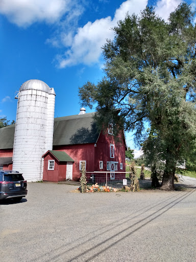 Produce Market «Parks Farms», reviews and photos, 525 NJ-24, Chester, NJ 07930, USA