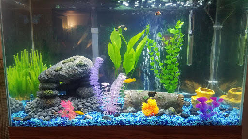 Pet Supply Store «Pet Supplies Plus», reviews and photos, 585 Moseley Rd, Fairport, NY 14450, USA