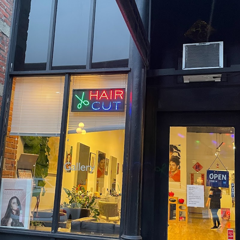 Hair Gallery Salon