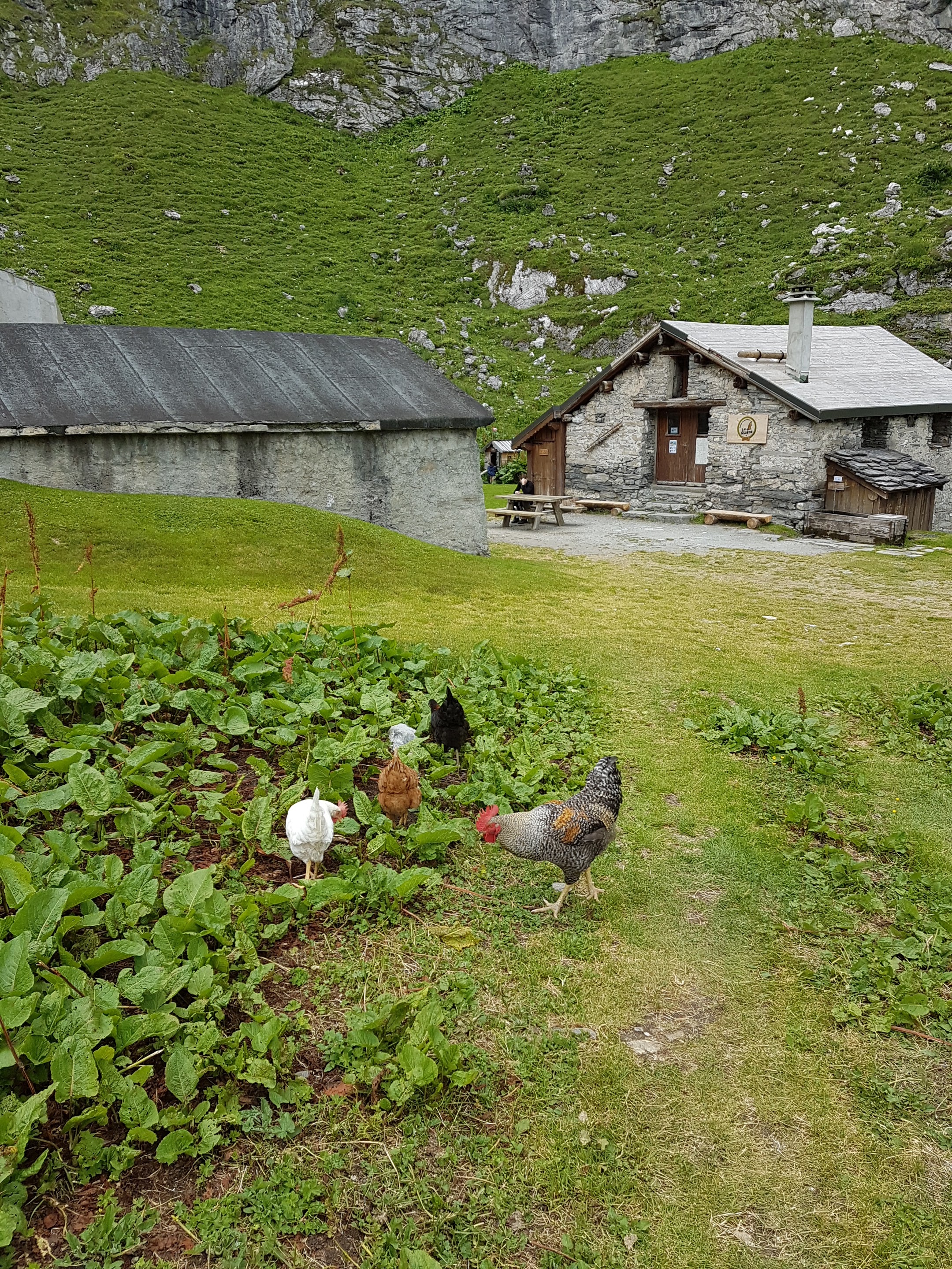 Photo n° 10 de l'avis de Catherine.u fait le 15/07/2020 à 15:27