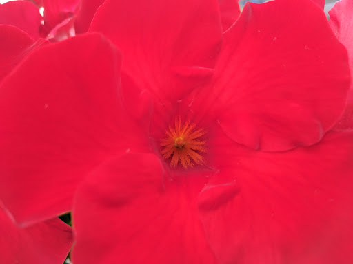 Theme Park «The Great Escape & Splashwater Kingdom», reviews and photos, 89 Six Flags Dr, Queensbury, NY 12804, USA