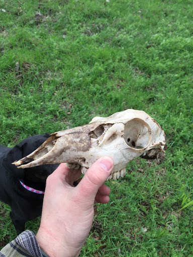 Park «Anderson River Park», reviews and photos