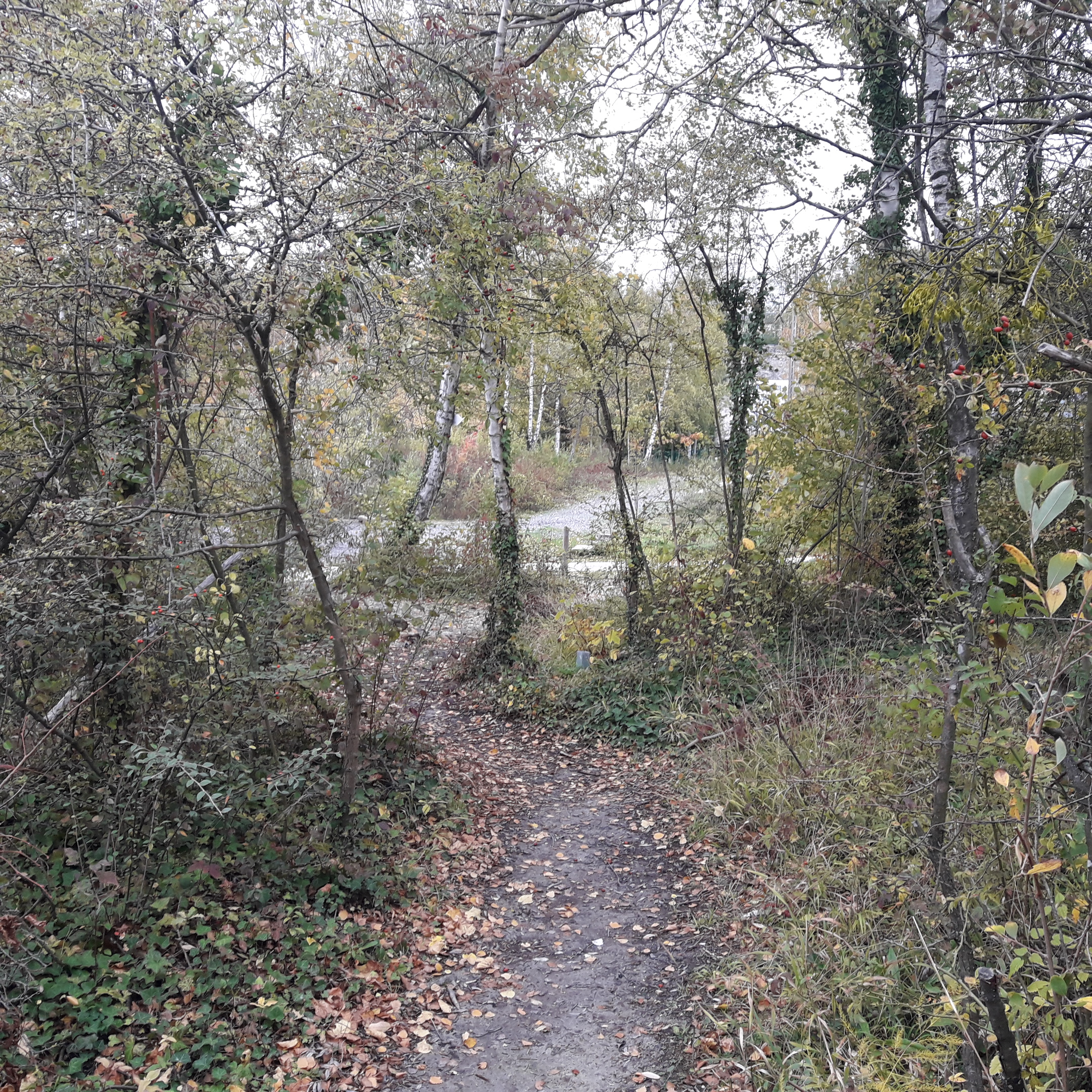 Photo n° 7 de l'avis de Laurent.a fait le 28/09/2019 à 16:59