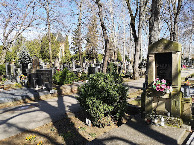 Recenze na Nový Židovský hřbitov Hodonín v Hodonín - Krejčí