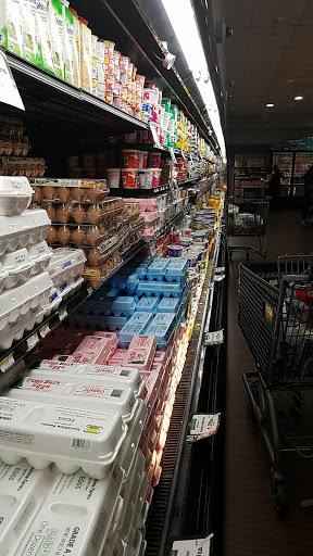 Grocery Store «Gourmet Glatt Kosher Meat Market», reviews and photos, 137 Spruce St, Cedarhurst, NY 11516, USA