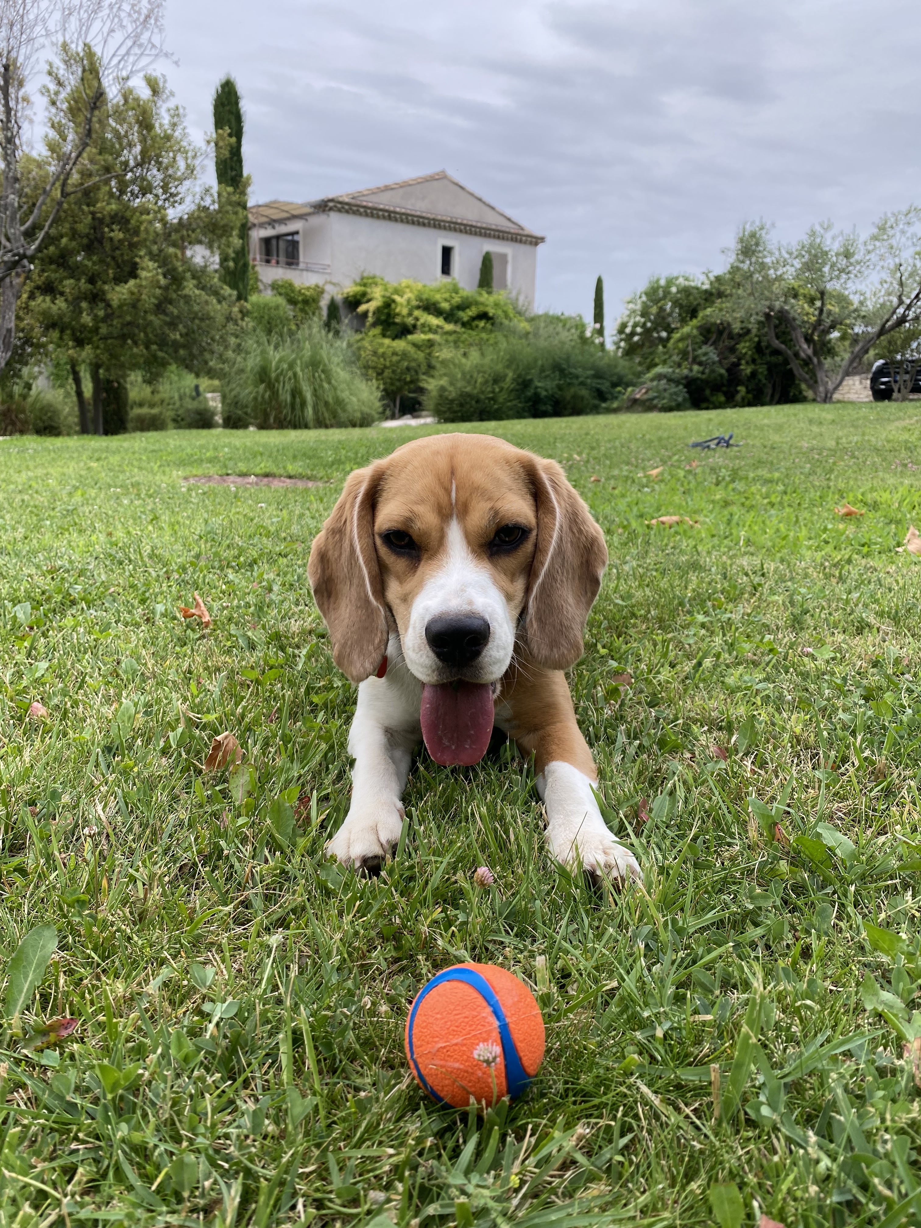 Photo n° 1 de l'avis de Bastien.a fait le 24/06/2022 à 18:27