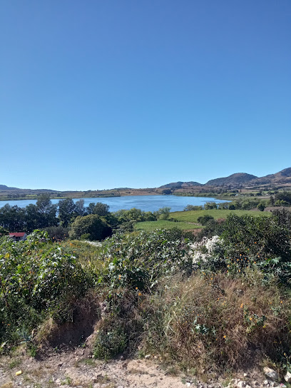 Laguna San Pedro Lagunillas