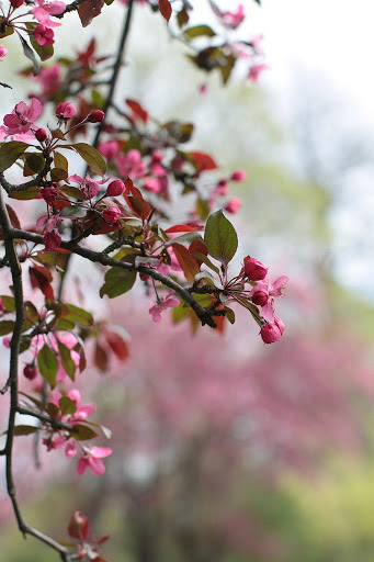 Gift Shop «Essenza Inc», reviews and photos, 615 N 35th St, Seattle, WA 98103, USA