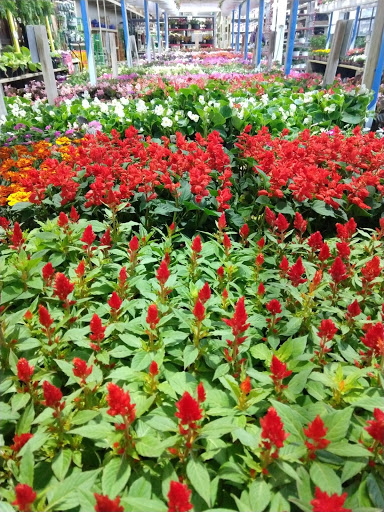 Home Improvement Store «The Home Depot», reviews and photos, 825 E Dundee Rd, Palatine, IL 60074, USA