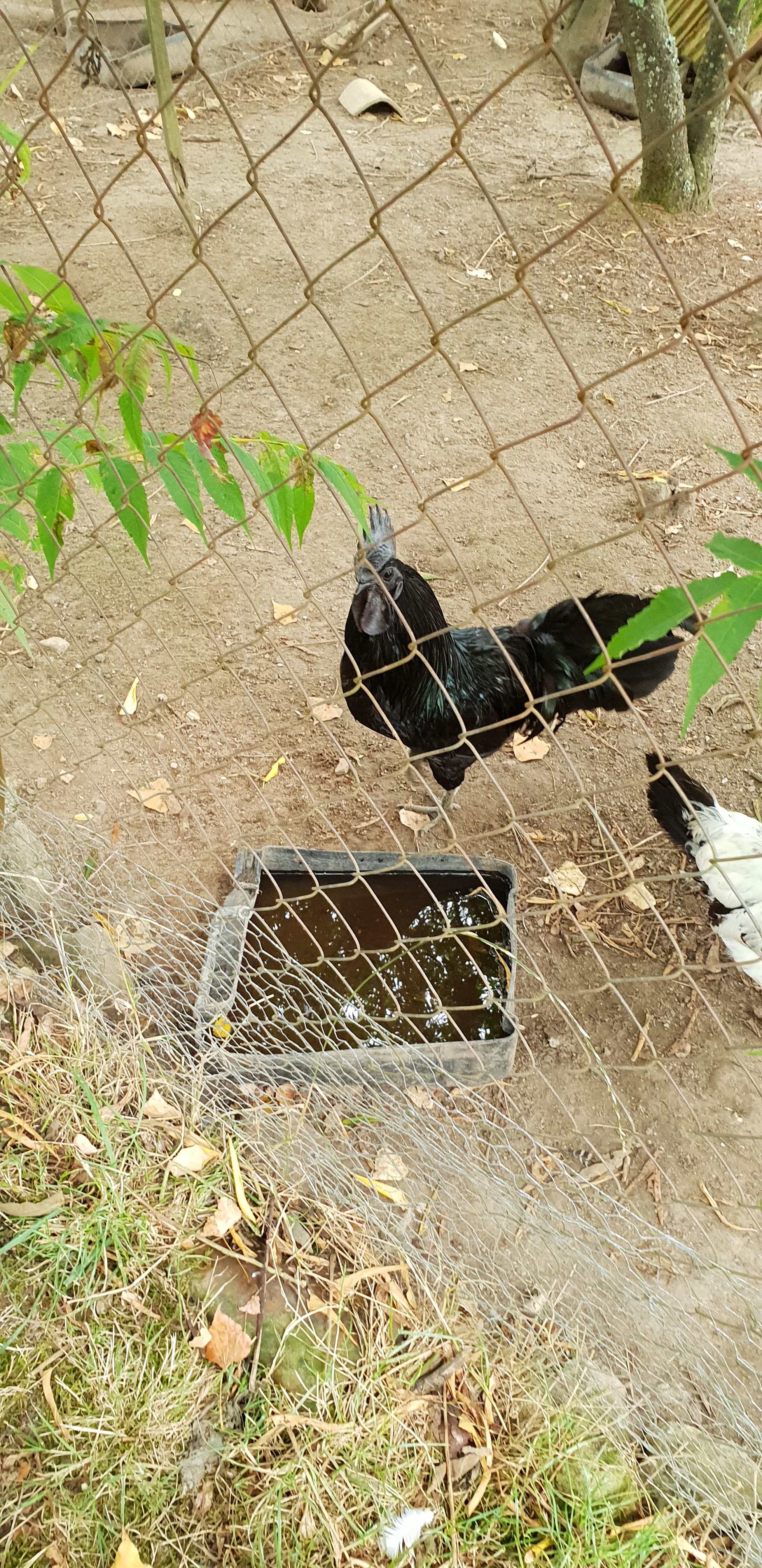 Photo n° 8 de l'avis de Claire.e fait le 21/08/2018 à 21:39