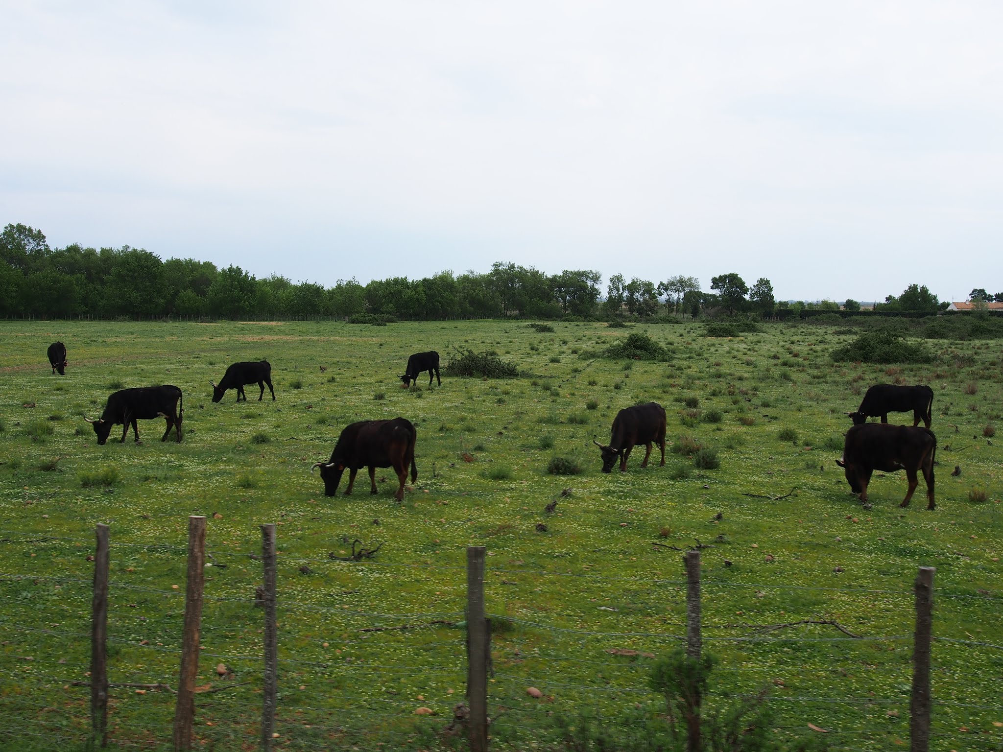 Photo n° 1 de l'avis de MICHEL. fait le 04/06/2019 à 19:45