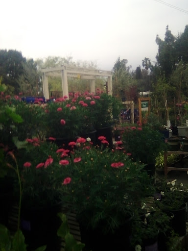 Garden Center «Sloat Garden Center», reviews and photos, 1555 Kirker Pass Rd, Concord, CA 94521, USA